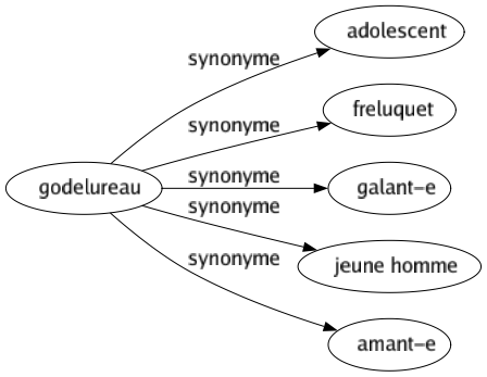 Synonyme de Godelureau : Adolescent Freluquet Galant-e Jeune homme Amant-e 