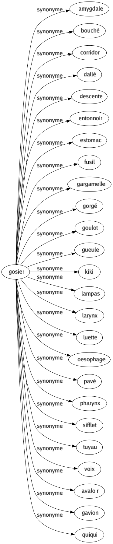 Synonyme de Gosier : Amygdale Bouché Corridor Dallé Descente Entonnoir Estomac Fusil Gargamelle Gorgé Goulot Gueule Kiki Lampas Larynx Luette Oesophage Pavé Pharynx Sifflet Tuyau Voix Avaloir Gavion Quiqui 