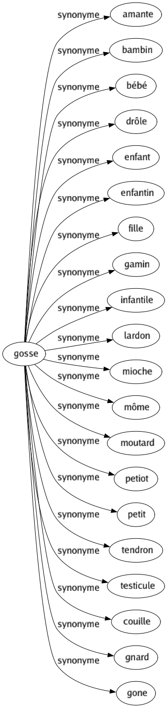 Synonyme de Gosse : Amante Bambin Bébé Drôle Enfant Enfantin Fille Gamin Infantile Lardon Mioche Môme Moutard Petiot Petit Tendron Testicule Couille Gnard Gone 
