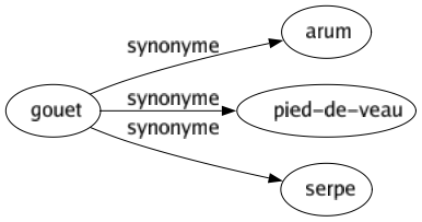 Synonyme de Gouet : Arum Pied-de-veau Serpe 