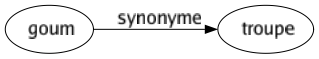 Synonyme de Goum : Troupe 