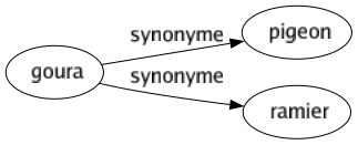 Synonyme de Goura : Pigeon Ramier 
