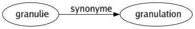 Synonyme de Granulie : Granulation 