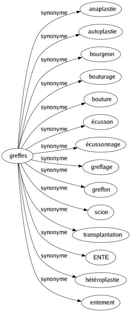Synonyme de Greffes : Anaplastie Autoplastie Bourgeon Bouturage Bouture Écusson Écussonnage Greffage Greffon Scion Transplantation Ente Hétéroplastie Entement 