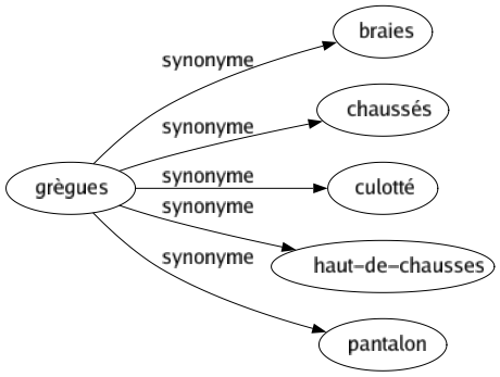 Synonyme de Grègues : Braies Chaussés Culotté Haut-de-chausses Pantalon 