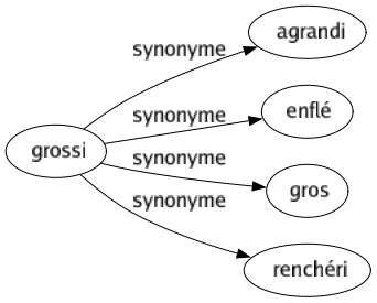 Synonyme de Grossi : Agrandi Enflé Gros Renchéri 