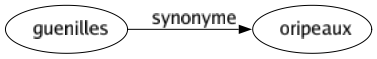 Synonyme de Guenilles : Oripeaux 
