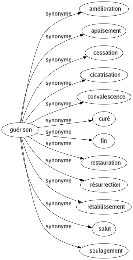 Synonyme de Guérison : Amélioration Apaisement Cessation Cicatrisation Convalescence Curé Fin Restauration Résurrection Rétablissement Salut Soulagement 