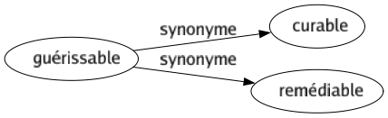 Synonyme de Guérissable : Curable Remédiable 