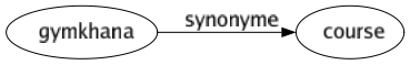 Synonyme de Gymkhana : Course 