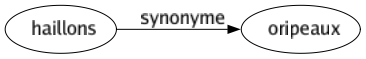Synonyme de Haillons : Oripeaux 