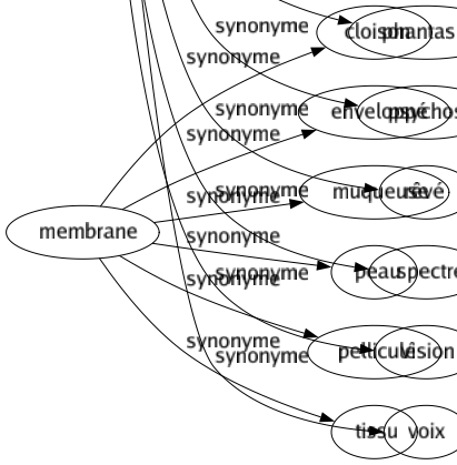 Synonyme de Hallucination : Aliénation Apparition Berlue Bizarrerie Cauchemar Chimère Déliré Démence Déraison Divagation Éblouissement Fantasmagorie Fantasme Folié Frénésie Illusion Mirage Obsession Phantasme Psychose Rêvé Spectre Vision Voix 