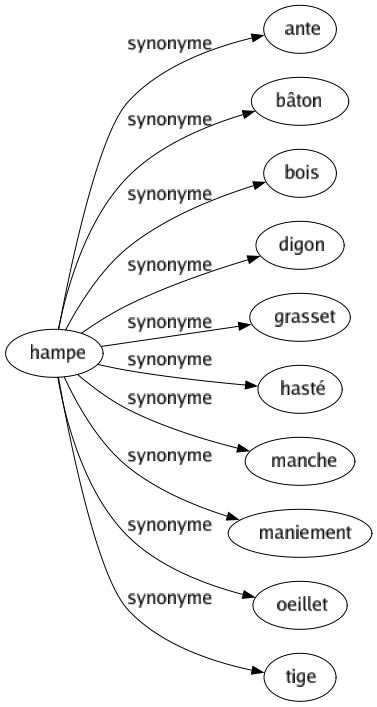 Synonyme de Hampe : Ante Bâton Bois Digon Grasset Hasté Manche Maniement Oeillet Tige 