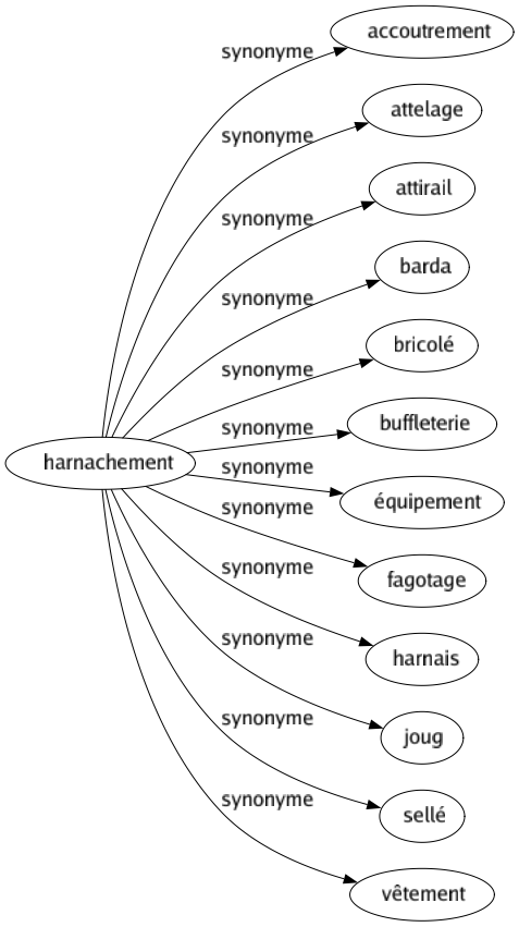 Synonyme de Harnachement : Accoutrement Attelage Attirail Barda Bricolé Buffleterie Équipement Fagotage Harnais Joug Sellé Vêtement 