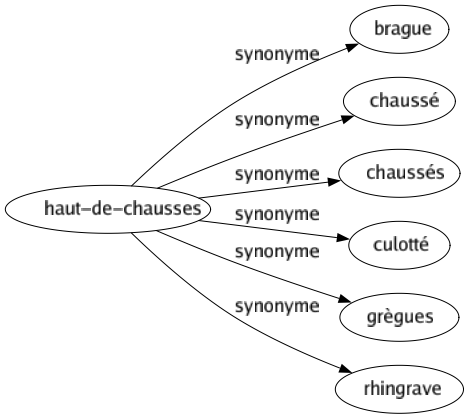 Synonyme de Haut-de-chausses : Brague Chaussé Chaussés Culotté Grègues Rhingrave 