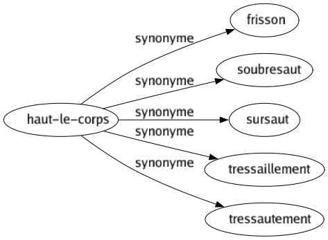 Synonyme de Haut-le-corps : Frisson Soubresaut Sursaut Tressaillement Tressautement 