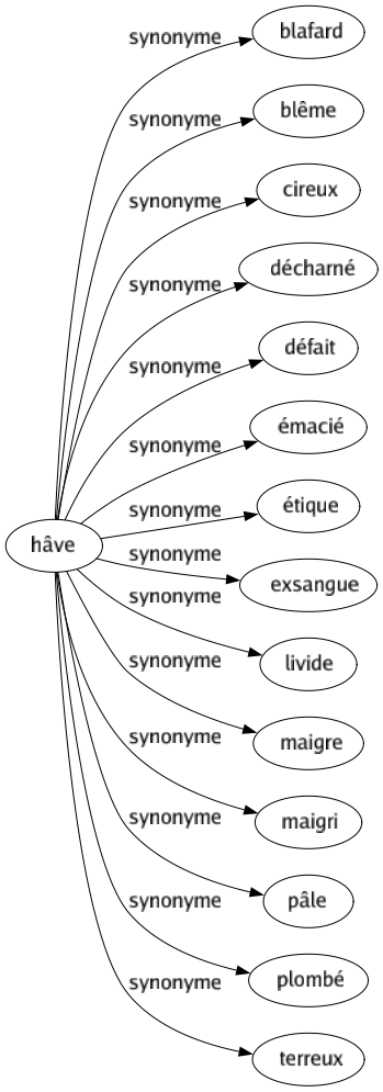 Synonyme de Hâve : Blafard Blême Cireux Décharné Défait Émacié Étique Exsangue Livide Maigre Maigri Pâle Plombé Terreux 
