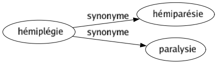 Synonyme de Hémiplégie : Hémiparésie Paralysie 