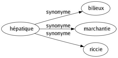 Synonyme de Hépatique : Bilieux Marchantie Riccie 