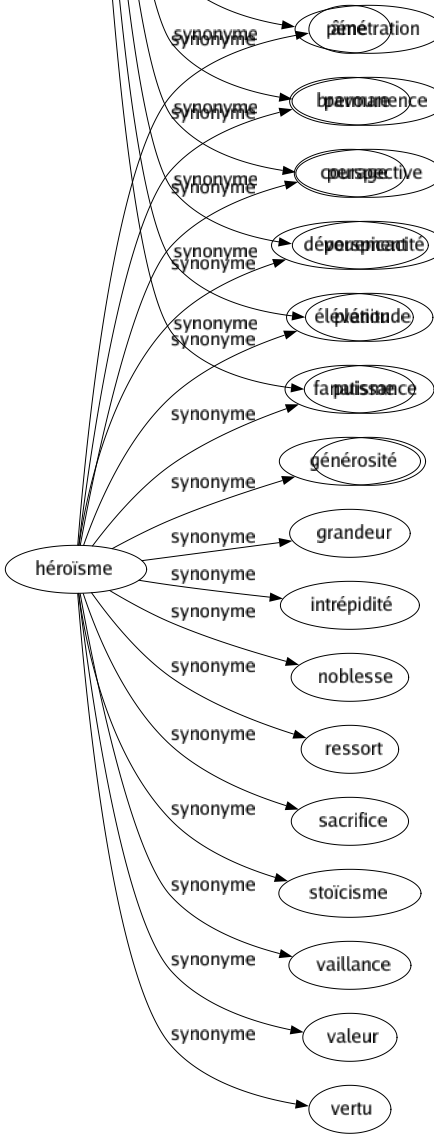 Synonyme de Héroïsme : Âme Bravoure Courage Dévouement Élévation Fanatisme Générosité Grandeur Intrépidité Noblesse Ressort Sacrifice Stoïcisme Vaillance Valeur Vertu 
