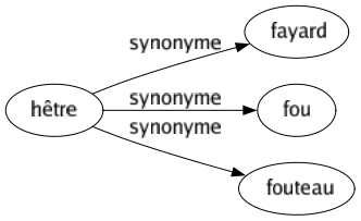 Synonyme de Hêtre : Fayard Fou Fouteau 