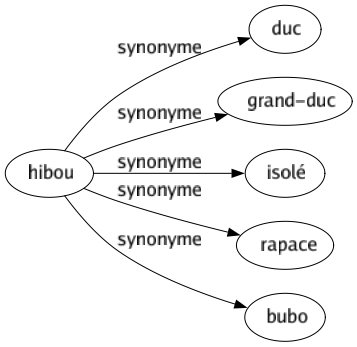 Synonyme de Hibou : Duc Grand-duc Isolé Rapace Bubo 