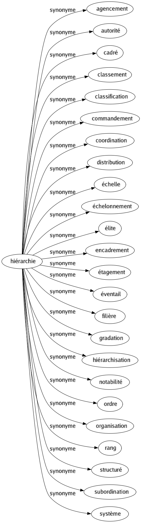 Synonyme de Hiérarchie : Agencement Autorité Cadré Classement Classification Commandement Coordination Distribution Échelle Échelonnement Élite Encadrement Étagement Éventail Filière Gradation Hiérarchisation Notabilité Ordre Organisation Rang Structuré Subordination Système 