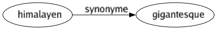 Synonyme de Himalayen : Gigantesque 