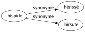 Synonyme de Hispide : Hérissé Hirsute 