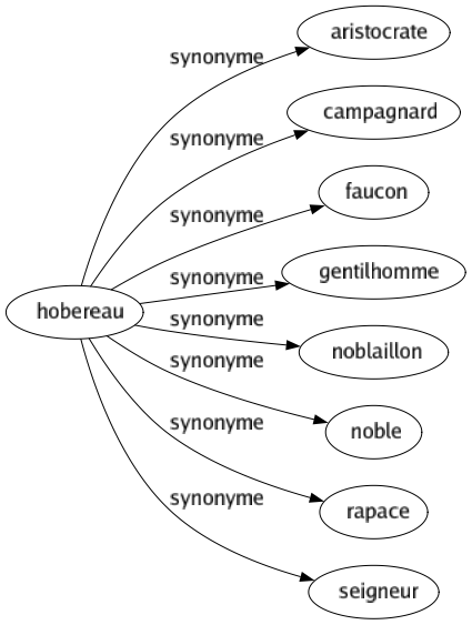 Synonyme de Hobereau : Aristocrate Campagnard Faucon Gentilhomme Noblaillon Noble Rapace Seigneur 