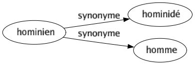 Synonyme de Hominien : Hominidé Homme 