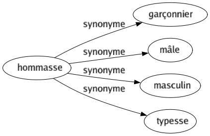 Synonyme de Hommasse : Garçonnier Mâle Masculin Typesse 