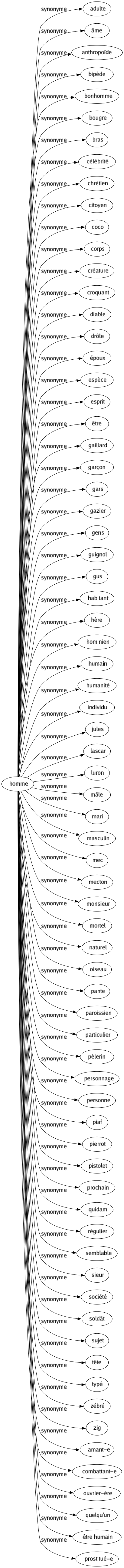 Synonyme de Homme : Adulte Âme Anthropoïde Bipède Bonhomme Bougre Bras Célébrité Chrétien Citoyen Coco Corps Créature Croquant Diable Drôle Époux Espèce Esprit Être Gaillard Garçon Gars Gazier Gens Guignol Gus Habitant Hère Hominien Humain Humanité Individu Jules Lascar Luron Mâle Mari Masculin Mec Mecton Monsieur Mortel Naturel Oiseau Pante Paroissien Particulier Pèlerin Personnage Personne Piaf Pierrot Pistolet Prochain Quidam Régulier Semblable Sieur Société Soldât Sujet Tête Typé Zébré Zig Amant-e Combattant-e Ouvrier-ère Quelqu'un Être humain Prostitué-e 