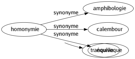 Synonyme de Homonymie : Amphibologie Calembour Équivoque 