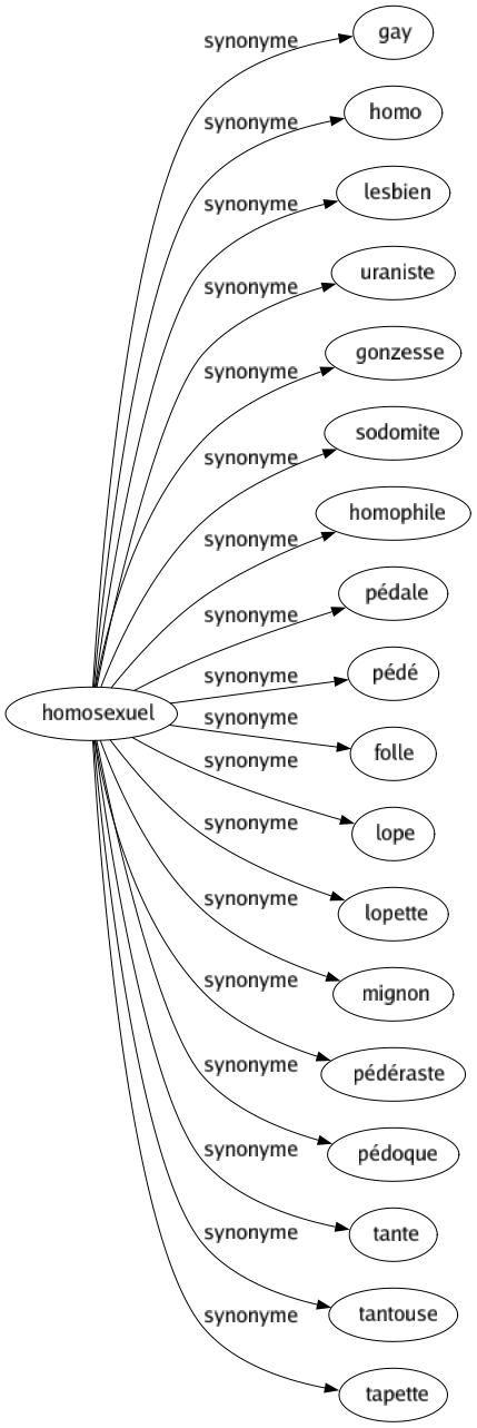 Synonyme de Homosexuel : Gay Homo Lesbien Uraniste Gonzesse Sodomite Homophile Pédale Pédé Folle Lope Lopette Mignon Pédéraste Pédoque Tante Tantouse Tapette 