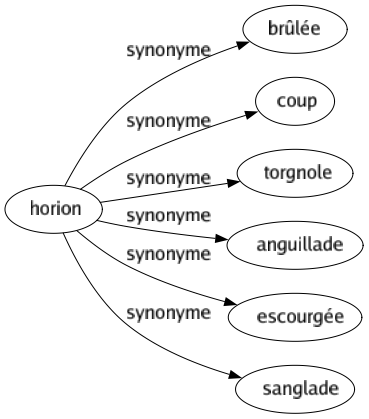 Synonyme de Horion : Brûlée Coup Torgnole Anguillade Escourgée Sanglade 