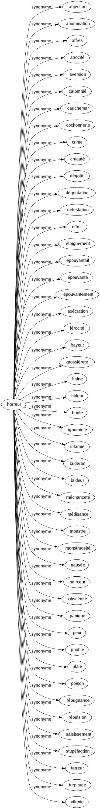 Synonyme de Horreur : Abjection Abomination Affres Atrocité Aversion Calomnié Cauchemar Cochonnerie Crime Cruauté Dégoût Dégoûtation Détestation Effroi Éloignement Épouvantail Épouvanté Épouvantement Exécration Férocité Frayeur Grossièreté Haine Hideur Honte Ignominie Infamie Laideron Laideur Méchanceté Médisance Monstre Monstruosité Nausée Noirceur Obscénité Paniqué Peur Phobie Plaie Poison Répugnance Répulsion Saisissement Stupéfaction Terreur Turpitude Vilenie 
