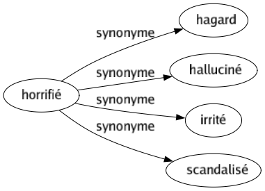 Synonyme de Horrifié : Hagard Halluciné Irrité Scandalisé 