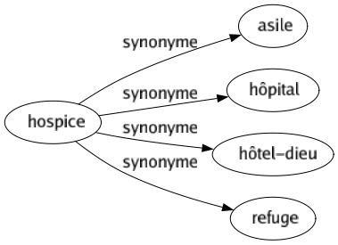 Synonyme de Hospice : Asile Hôpital Hôtel-dieu Refuge 