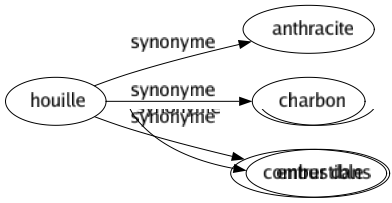 Synonyme de Houille : Anthracite Charbon Combustible 