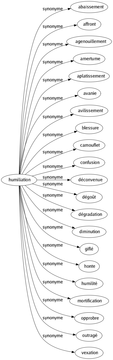 Synonyme de Humiliation : Abaissement Affront Agenouillement Amertume Aplatissement Avanie Avilissement Blessure Camouflet Confusion Déconvenue Dégoût Dégradation Diminution Giflé Honte Humilité Mortification Opprobre Outragé Vexation 