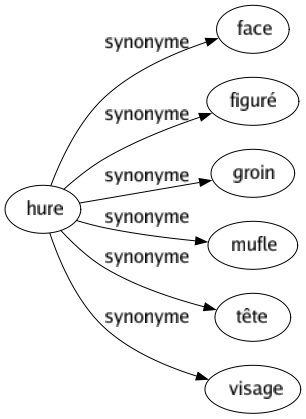 Synonyme de Hure : Face Figuré Groin Mufle Tête Visage 