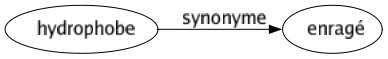 Synonyme de Hydrophobe : Enragé 