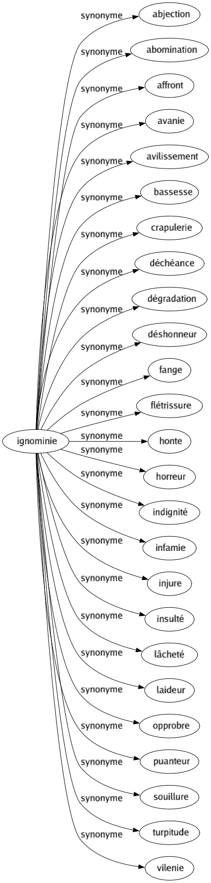 Synonyme de Ignominie : Abjection Abomination Affront Avanie Avilissement Bassesse Crapulerie Déchéance Dégradation Déshonneur Fange Flétrissure Honte Horreur Indignité Infamie Injure Insulté Lâcheté Laideur Opprobre Puanteur Souillure Turpitude Vilenie 