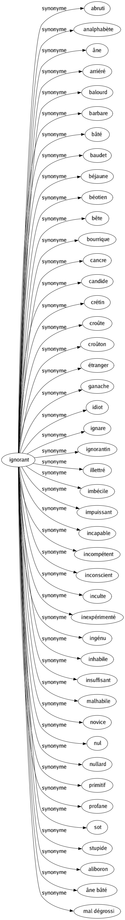 Synonyme de Ignorant : Abruti Analphabète Âne Arriéré Balourd Barbare Bâté Baudet Béjaune Béotien Bête Bourrique Cancre Candide Crétin Croûte Croûton Étranger Ganache Idiot Ignare Ignorantin Illettré Imbécile Impuissant Incapable Incompétent Inconscient Inculte Inexpérimenté Ingénu Inhabile Insuffisant Malhabile Novice Nul Nullard Primitif Profane Sot Stupide Aliboron Âne bâté Mal dégrossi 