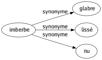 Synonyme de Imberbe : Glabre Lissé Nu 