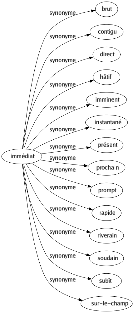 Synonyme de Immédiat : Brut Contigu Direct Hâtif Imminent Instantané Présent Prochain Prompt Rapide Riverain Soudain Subît Sur-le-champ 