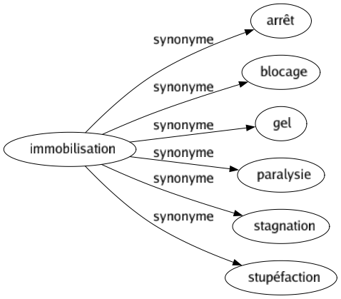 Synonyme de Immobilisation : Arrêt Blocage Gel Paralysie Stagnation Stupéfaction 
