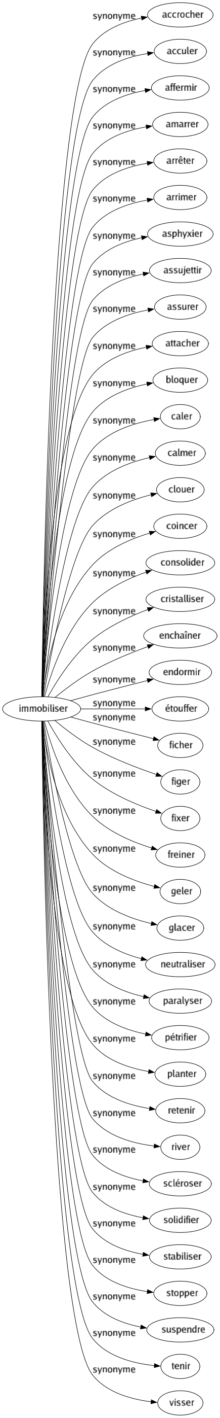 Synonyme de Immobiliser : Accrocher Acculer Affermir Amarrer Arrêter Arrimer Asphyxier Assujettir Assurer Attacher Bloquer Caler Calmer Clouer Coincer Consolider Cristalliser Enchaîner Endormir Étouffer Ficher Figer Fixer Freiner Geler Glacer Neutraliser Paralyser Pétrifier Planter Retenir River Scléroser Solidifier Stabiliser Stopper Suspendre Tenir Visser 