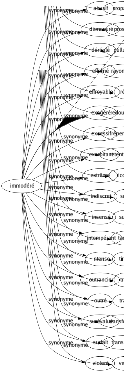 Synonyme de Immodéré : Abusif Démesuré Déréglé Effréné Effroyable Exagéré Excessif Exorbitant Extrême Indiscret Insensé Intempérant Intense Outrancier Outré Surévalué Surfait Violent 